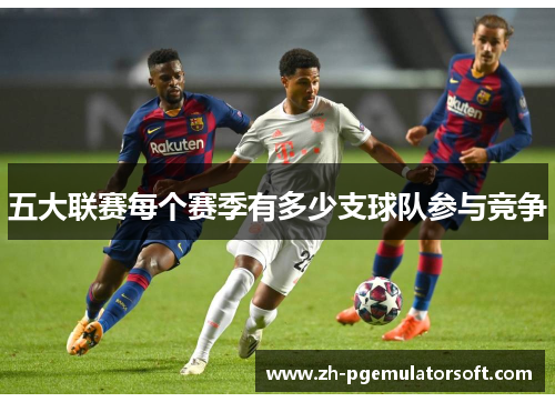 五大联赛每个赛季有多少支球队参与竞争